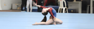 gimnasiartisticaportada 2